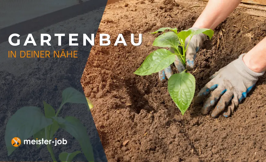 Professioneller Gartenbau in deiner Nähe: Individuelle Planung, nachhaltige Gestaltung und liebevolle Pflege für deinen Traumgarten.